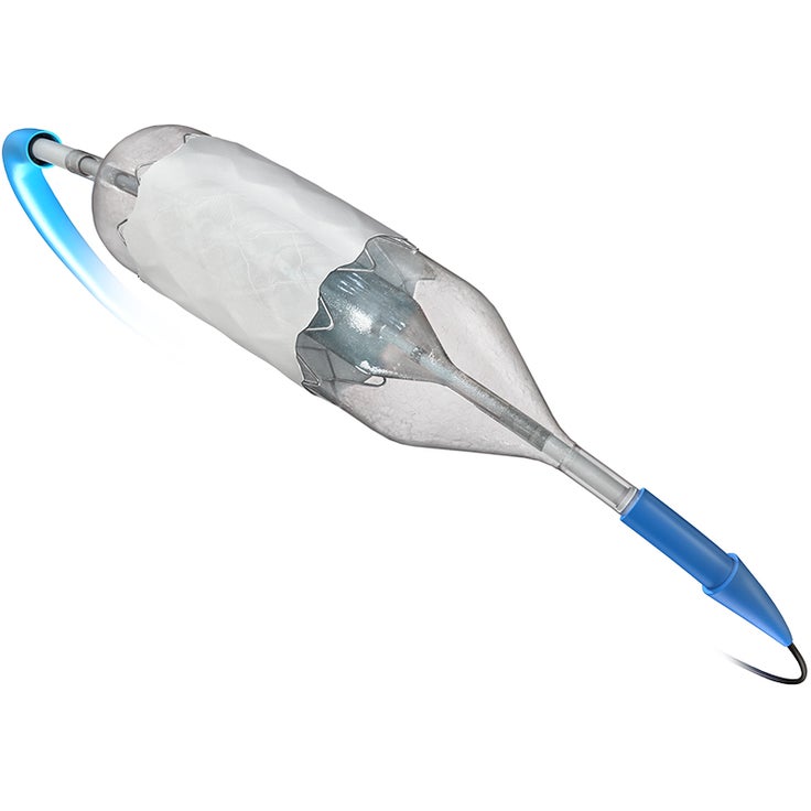 NuDEL™ CP Stent® Delivery System