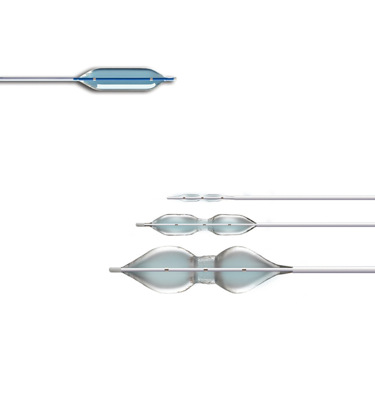 Angioplasty and Valvuloplasty Catheters